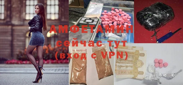индика Новозыбков