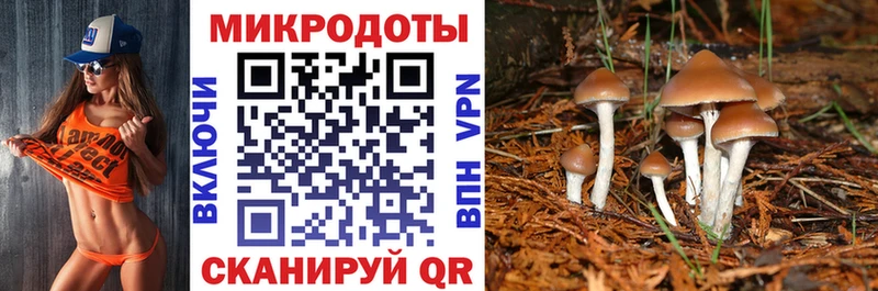 Псилоцибиновые грибы Magic Shrooms  Димитровград 