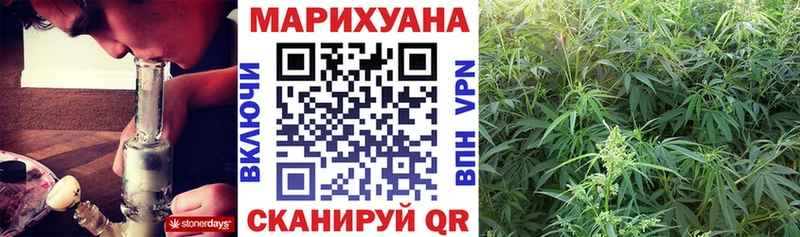 Бошки Шишки конопля  даркнет сайт  darknet официальный сайт  Димитровград  mega рабочий сайт 